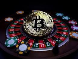 Everything You Need to Know About CK 444 Login