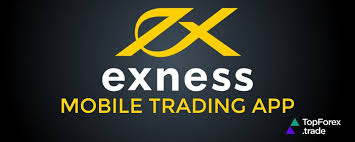 Explore the Benefits of Exness Forex Demo Trading