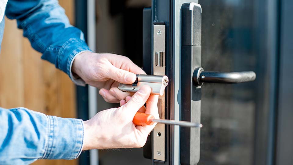 Медвежатник в Берлине волшебный мир диких животных