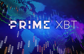 Maximize Your Crypto Trading Experience with PrimeXBT MX