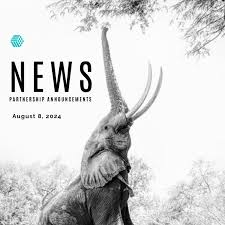 Unlocking Growth The Power of B2B Partnerships